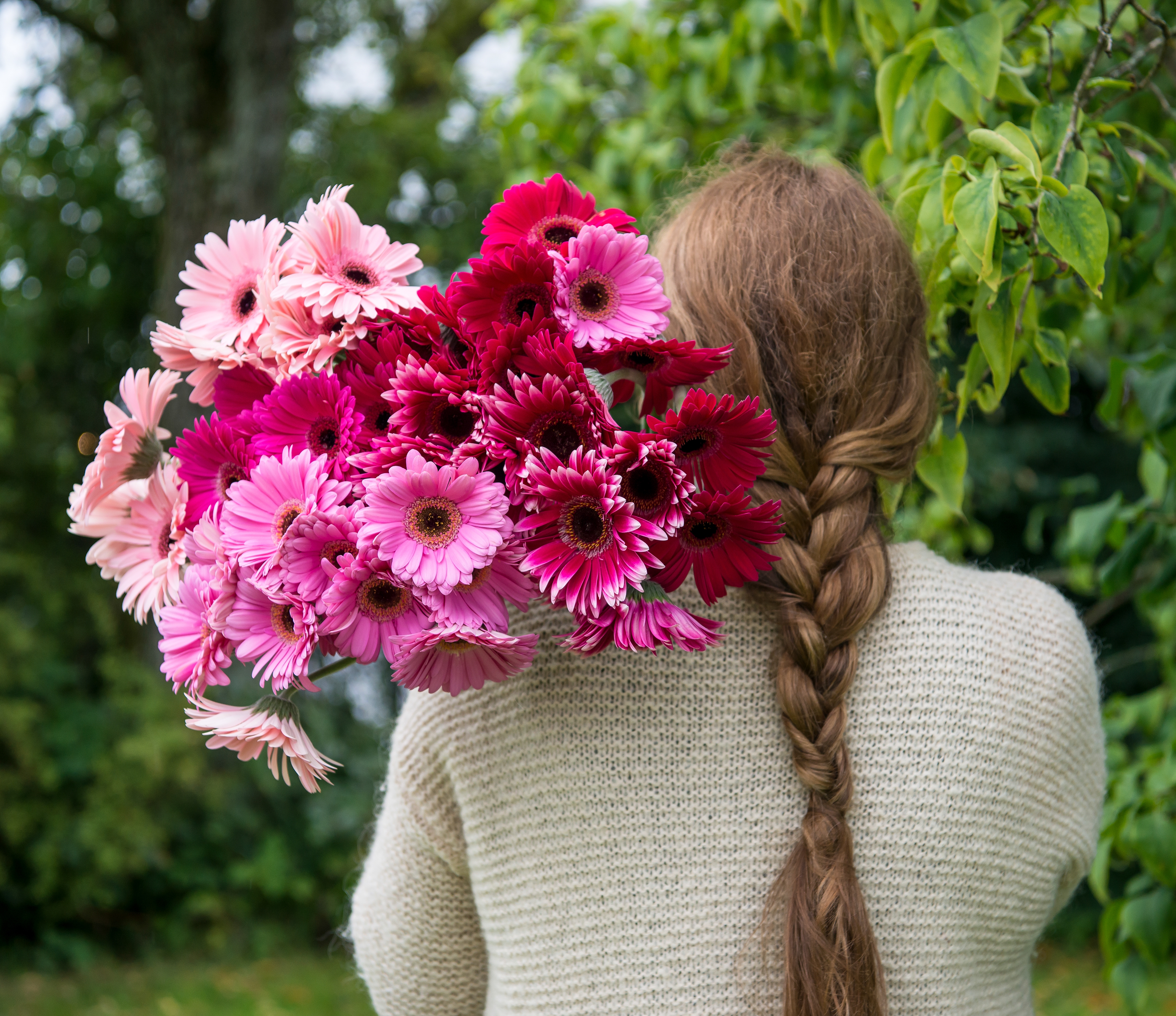 En bukett med germini i rosa-toner over skulderen.